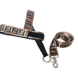 Pwendi Harness And Leash