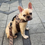 pwendi harness and leash dog