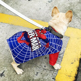 Spiderman Costume