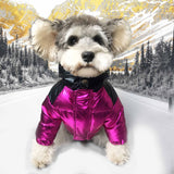 moncler purple dog jacket