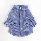 hype puppy blue checked shirt