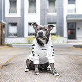 off white dog white hoodie
