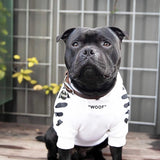 off white dog white