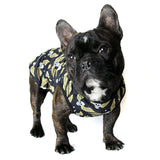 alexander mcpup fly skull top