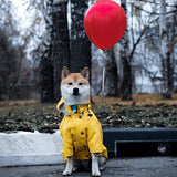 Paw des Garçons Raincoat