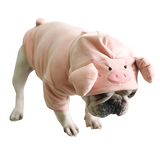 Pig Costume