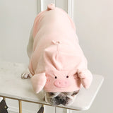 Pig Costume