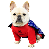 Spiderman Costume