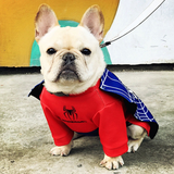 Spiderman Costume