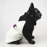 champion dog black hoodie and white
