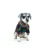 Pawcci Multicolour Sweater