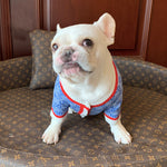 Pawcci Blue Sweater