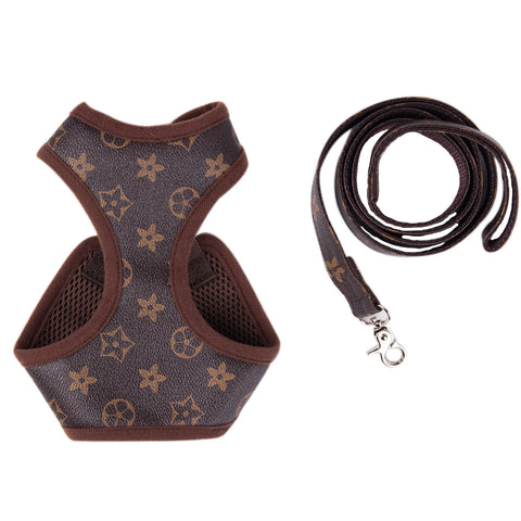 the hype puppy louis pawtton harness and leash