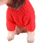 Chewnel Red Sweater