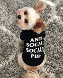 anti social social pup black hoodie dog