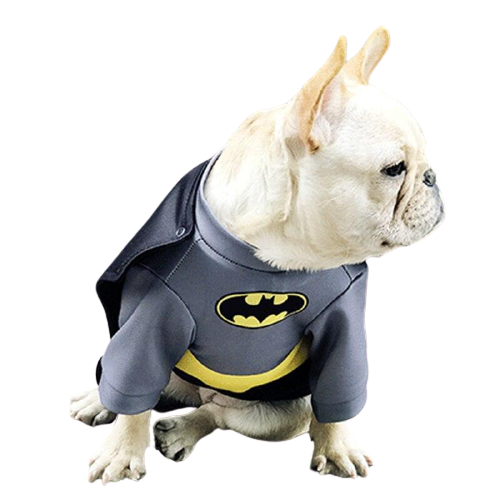 The Hype Puppy