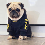 dog black hoodie