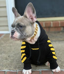 dog black hoodie yellow
