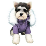 Canada Pup Purple Jacket
