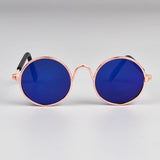 blue dog sunglasses