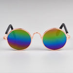 rainbow sunglasses for dogs