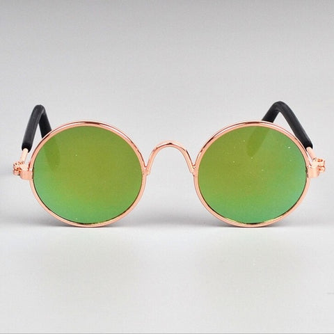 green dog sunglasses